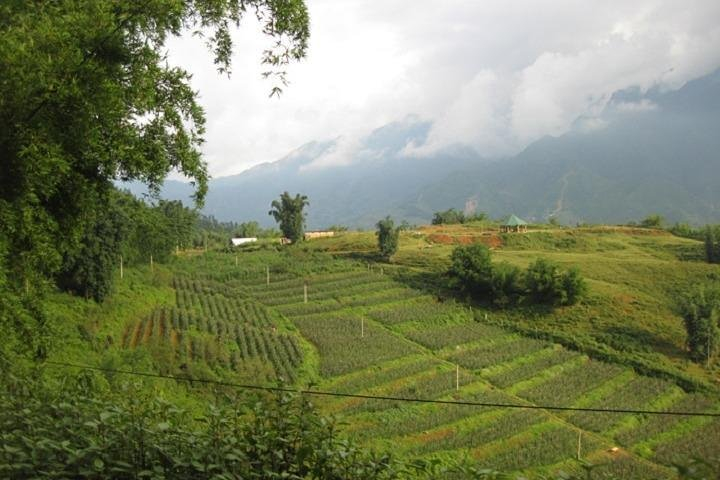 Private Sapa Off The Beaten Path trekking full day tour start from Sapa QixK8oHi