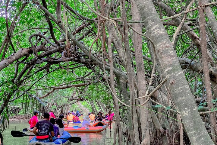 Full Day Canoe Boat Trip At Takuapa Little Amazon From Khao Lak 6IXcwE3y