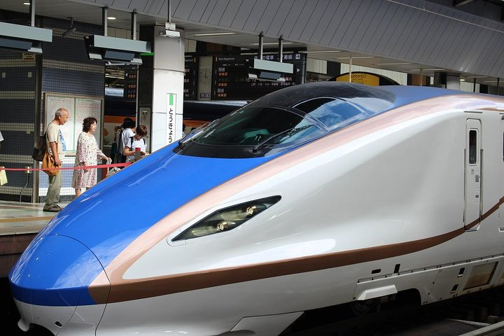 Tokyo Layover Tour with a Local – Private & Tailored to You gRVijt8c