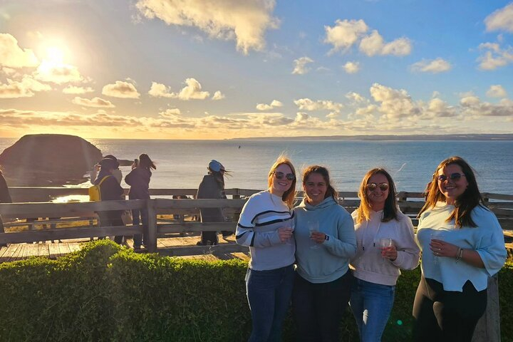  From Phillip Island: Wine and Wildlife Tour with Penguin Parade AeUo2B1E