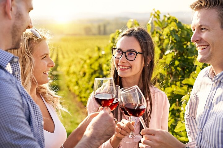 Half-Day Private Monsoon Valley Vineyard Wine Tour from Hua Hin d87esvEw