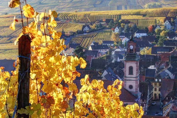 Alsace villages half day tour from Colmar OFdh3dpb