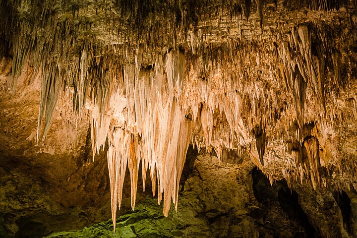 Carlsbad Caverns Self-Guided Walking Tour (Not a ticket) zuOftqE4