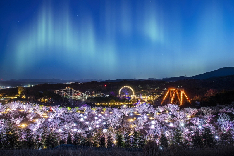 Seoul Everland Moonlight Parade Day Tour with Transfers Cri8jCW1