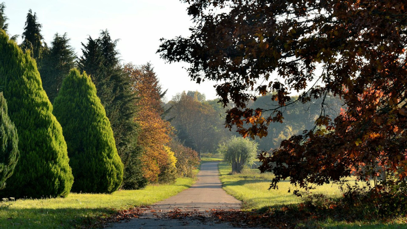 Arboretum de Versailles-Chevreloup ticket in Rocquencourt vpXAhfiy