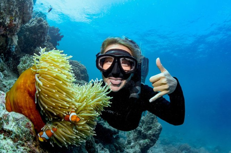 AquaQuest Day Trip to the Outer Reef plQ7mkPS