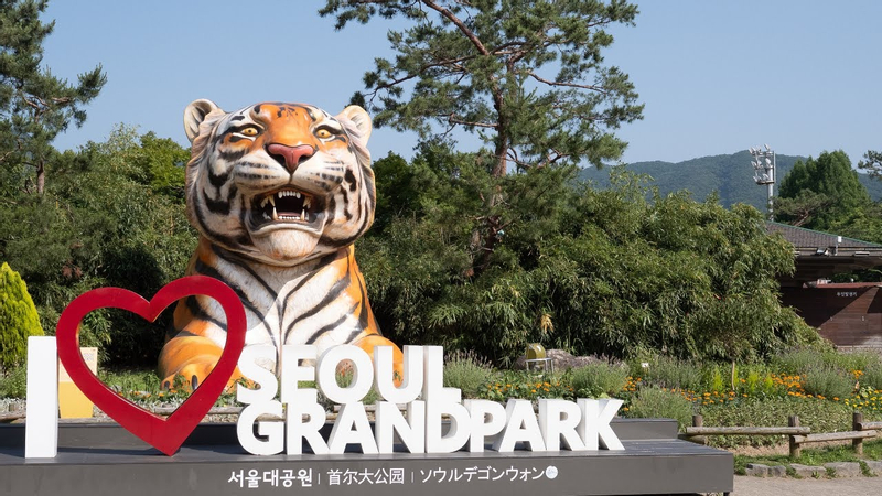 Seoul Land & Seoul Grand Park Day Trip with Transfers CDh0OAkz