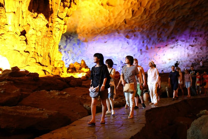 Dragon King Day Cruise: Ha Long Bay Tour with Sung Sot & Ti Top EEQ2Xse3