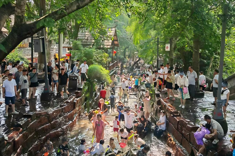 Leshan Giant Buddha + Giant Panda Base/Huanglongxi Ancient Town/Mount Emei One-Day Tour nhLFSo98