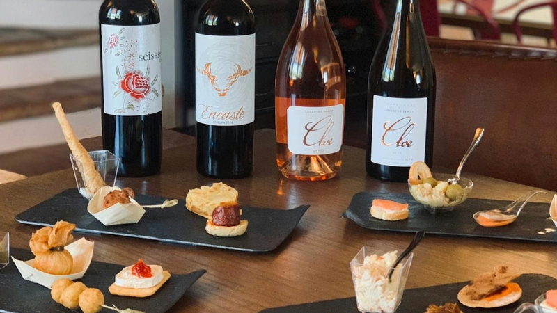 Vineyard tour with wine tasting or lunch in Ronda UbFXFx68