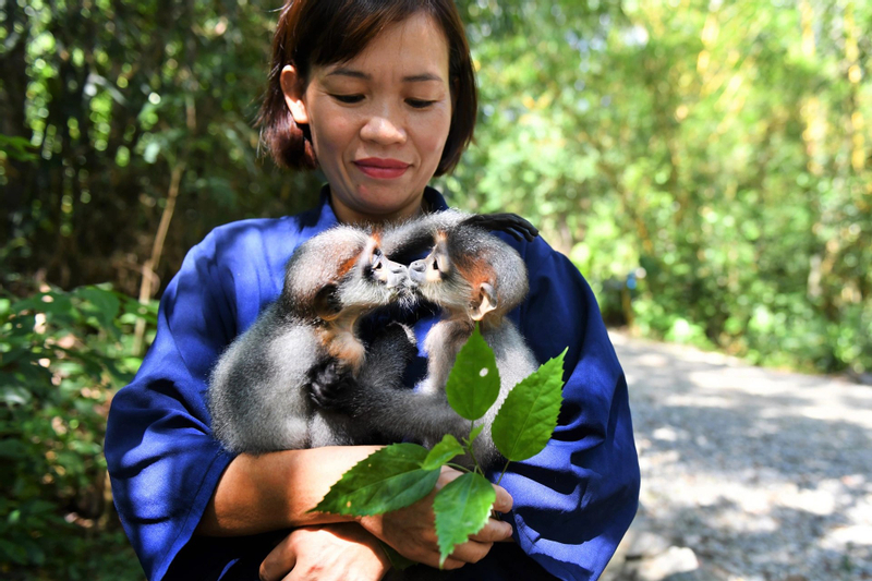 From Ninh Binh: Cuc Phuong National Park & Van Long Small Group  Ml4FkMCG