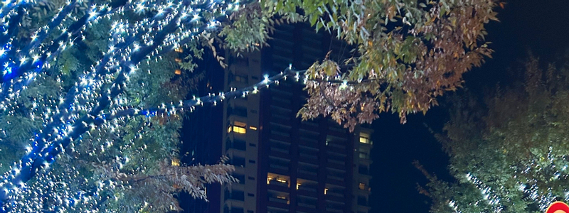Tokyo: 2-Hour Night Bike Tour of the City's Hidden Gems VYXVa46H