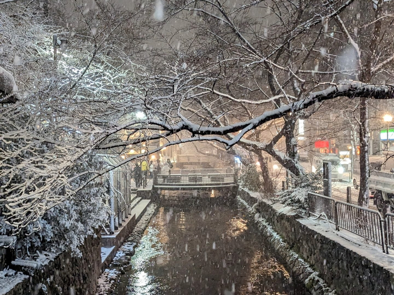 Kyoto's Refined Palate: A Food Tour for Discerning Adventurers JIg6a83f