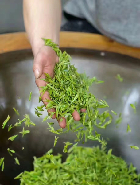 Hangzhou Longjing Tea Garden Light 5km Hiking Tea Culture Experience Tour xRZ64Bjo