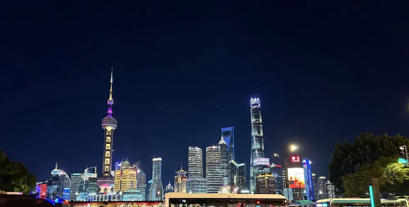 Shanghai Private Tour Guide 1-Day Tour (Chinese/English/Japanese) E85DGejF