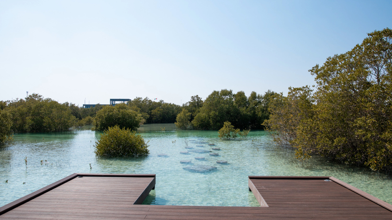 Jubail Mangrove Park ticket in Abu Dhabi  0KRiNKw0