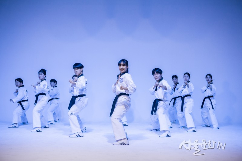Seoul Korean Traditional Taekwondo One Day Class in Gangnam FowV02FO