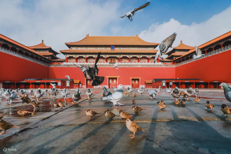 Forbidden City & Jingshan Park Half-Day Tour TUtNVX7g