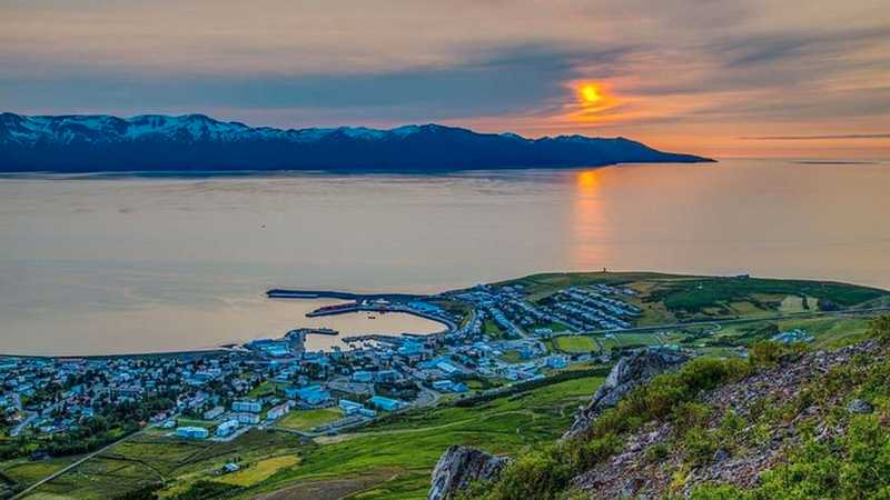 Big whales and puffins boat tour in Husavik iB0p0NMu