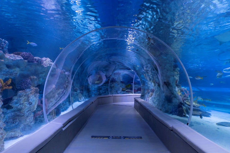 Emaar Aquarium and Underwater Zoo Ticket JqlL9Z0c