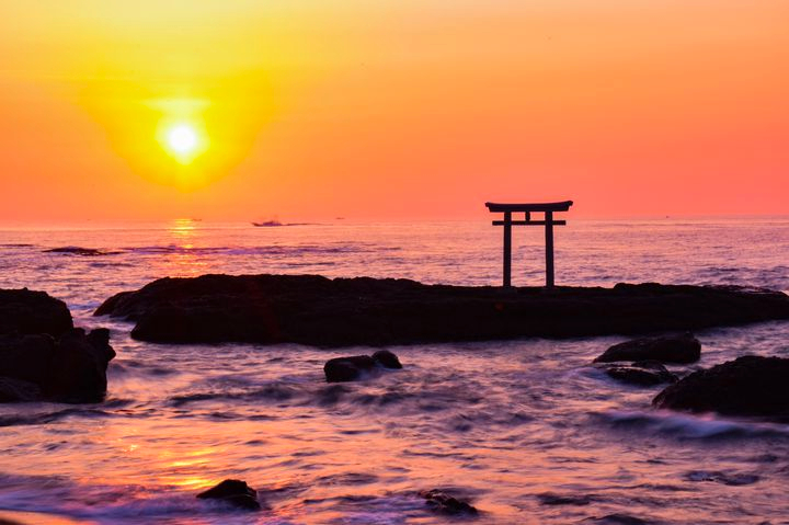 Hitachi Seaside Park - Oarai Aquaworld - Kamisiso Torii Gate Day Trip from Tokyo YPmP9fV6