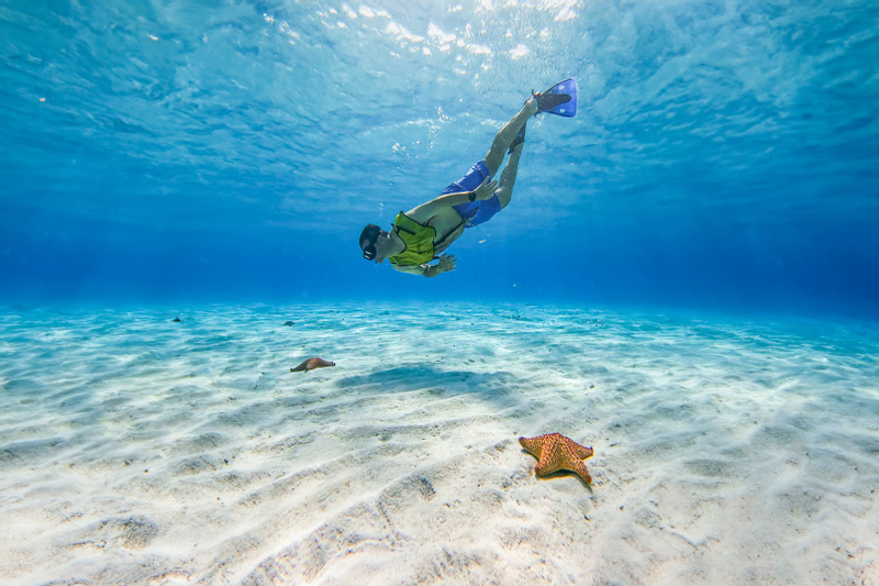 Cozumel Catamaran Snorkel Tour to El Cielo and Palancar Reef 9kHVp2Lk