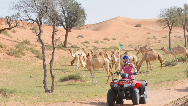 Desert Safari Tour from Dubai, Ras Al Khaimah, and Sharjah qfDHVMEO