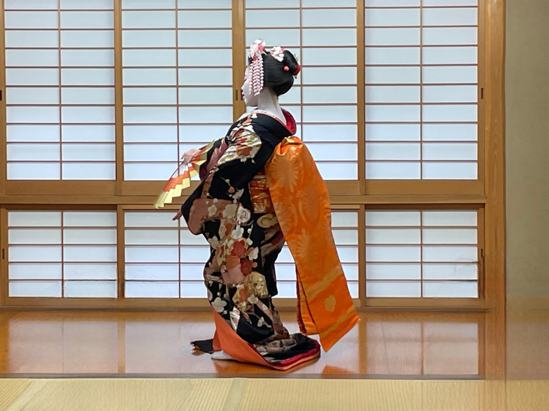Kyoto Gion Geisha & Maiko Half-Day Walking Tour Cc8LAeUN