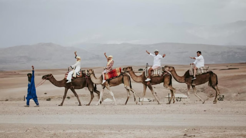 Agafay Desert Sunset Camel Ride & Dinner Experience TM1tI1xT