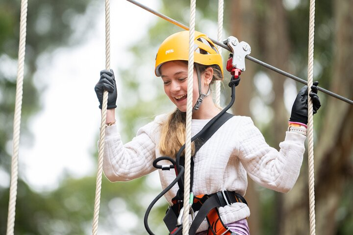 Your Little Ones Can Soar Through the Pines of Kuitpo Forest udb9buxe