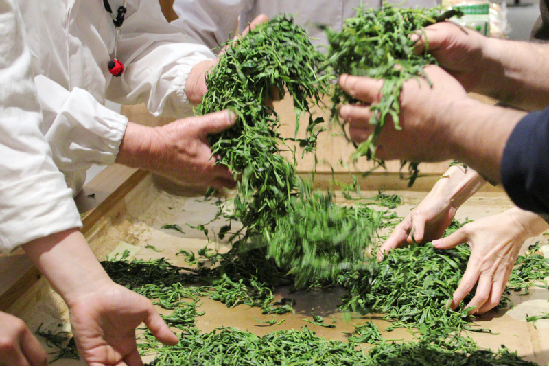 From Nagoya: Wagashi Workshop & Matcha Tea Field Tour uLoOfrLb