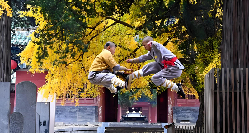 Longmen Grottoes, Shaolin Temple, Luoyang Museum, and private car charter for a day trip in Luoyang eUKhRHxj