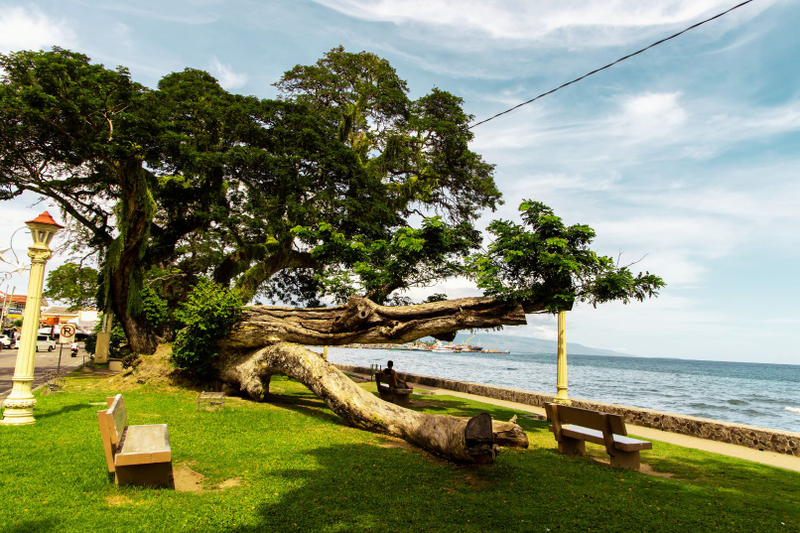 Dumaguete-Valencia Tour: Pulangbato Falls, Hot Spring, Sulfur Vents ZwWUAEGW