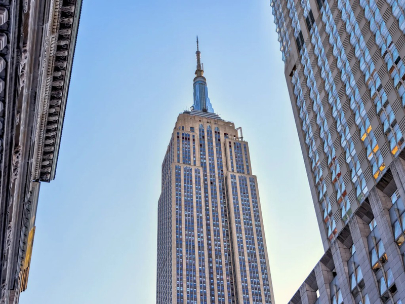 Half-Day Guided Bus Tour in New York  BXLusB86