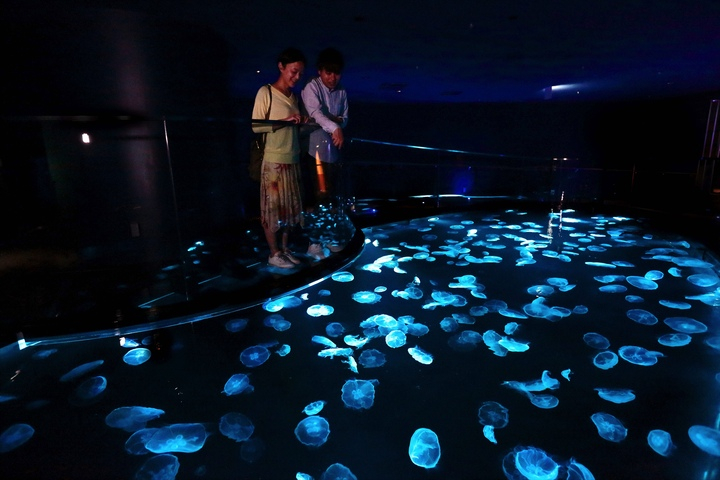Tiket Sumida Aquarium di Tokyo yrc3IZom