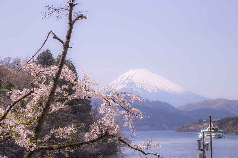 Tokyo: Mt Fuji & Hakone 6 Spots Tour w/ Bullet Train KOwD5IVU