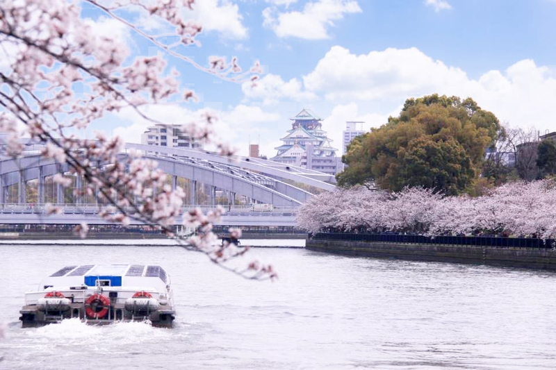 Osaka Walking Tour: Osaka Castle & River Cruise from Osaka or Kyoto EfLuRfFN