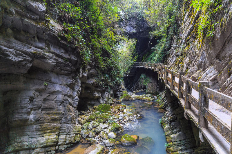 Chongqing Wulong Three Natural Bridges + Longshui Gorge Fissure/Xiannyushan National Forest Park One-Day Tour DVdY93XQ