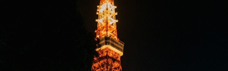 Official Japan Go-Kart in Shibuya/Shinjuku/TokyoTower by JAPANKART oPADhdam