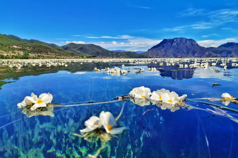 7-Day Tour of Yunnan's Essential Scenic Spots nKTpaRfd