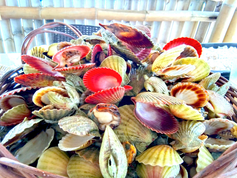 Islas de Gigantes Private Day Tour with Seafood Lunch 4GEM7J4k