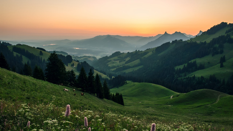 Private Tour to Gruyeres, Chocolate, Cheese & Golden Pass Train rjF1MyXu