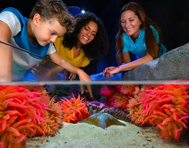 SEA LIFE Orlando Aquarium Ticket ISNQ8AfG