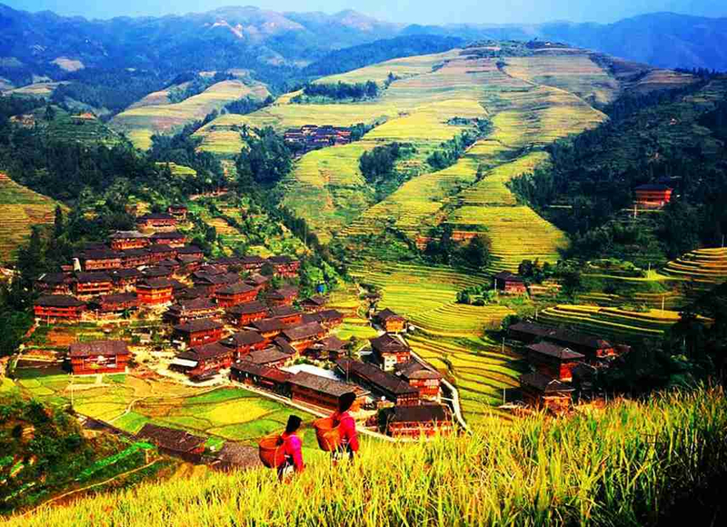 Guilin Departure Longji Terraces Ping'an Zhuang Village, Changfa Village, Jinkeng Terraces 1-Day Tour 3eflMV94