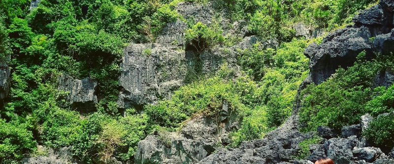 Islas de Gigantes Private Day Tour from Roxas City with Transfers 6GN2pDze