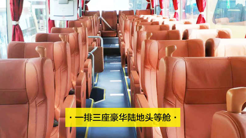 Leshan Giant Buddha & Emeishan Full-Day Guided Historical Tour oiGORYPO