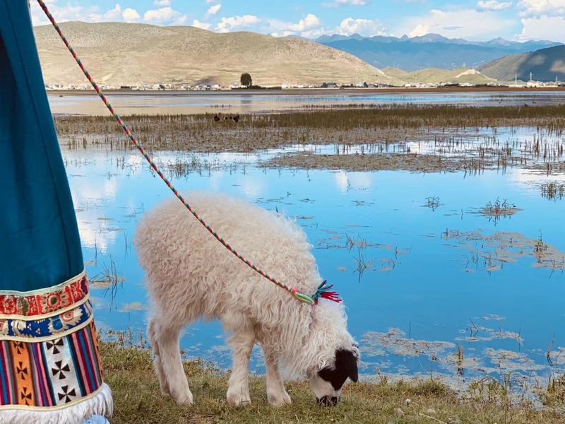 [Private Tour] 6-Day Yunnan Dali Lijiang Shangri-La Vacation JF0IAgQg