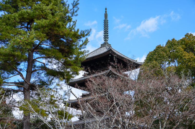 1-Day Kyoto UNESCO World Heritage Site Tour with a Private Car g0hjti3F