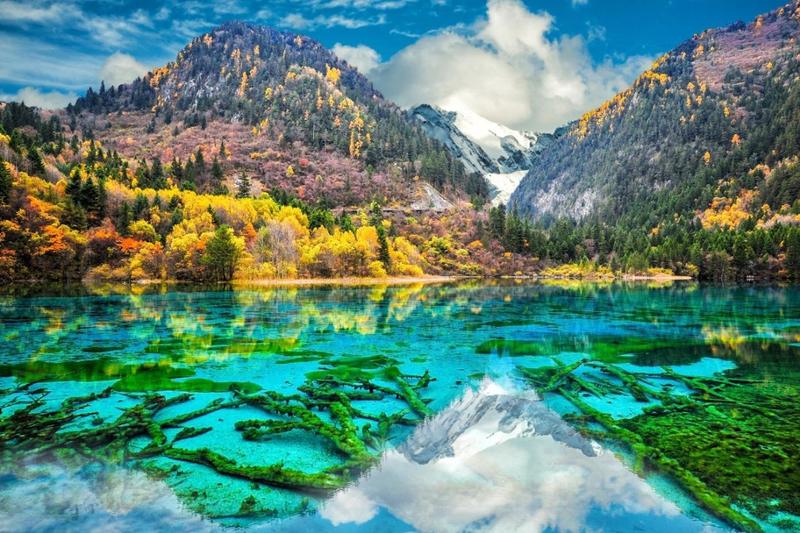 Sichuan Jiuzhaigou and Huanglong High-Speed Rail Round-Trip Pure Sightseeing 3-Day Tour lC21uZnx