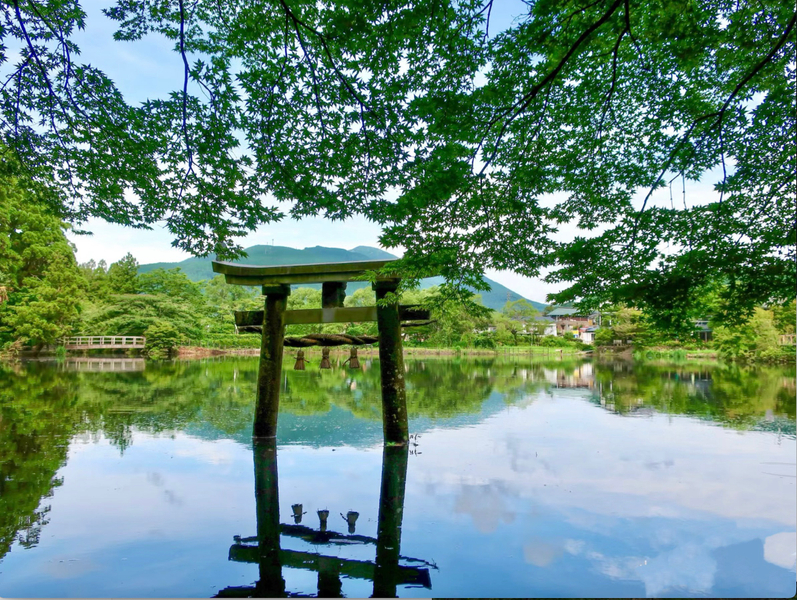Kyushu: Nyoirin-ji Temple & Kinrinko Lake Water Torii & Yufuin & Beppu Hells Tour Day Trip HAOjRwTv